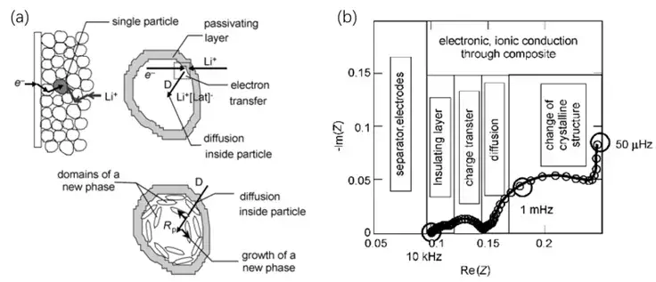 Figure 3. (a) Micro-model for Li-ion intercalationdeintercalation in electrode active materials proposed by Barsoukov et al.; (